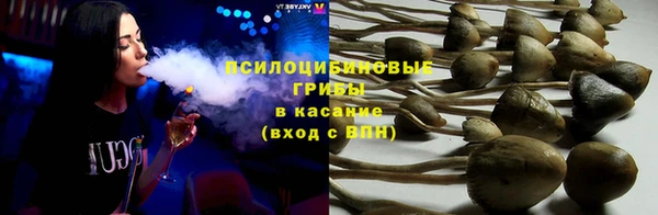 трава Абинск