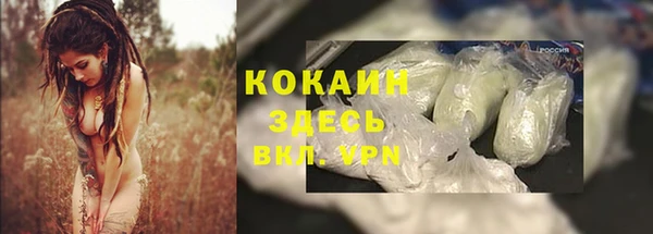 PSILOCYBIN Алексеевка