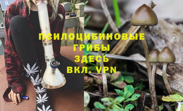 PSILOCYBIN Алексеевка