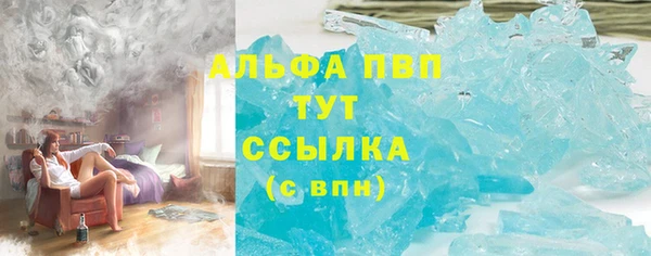 прущие грибы Абаза
