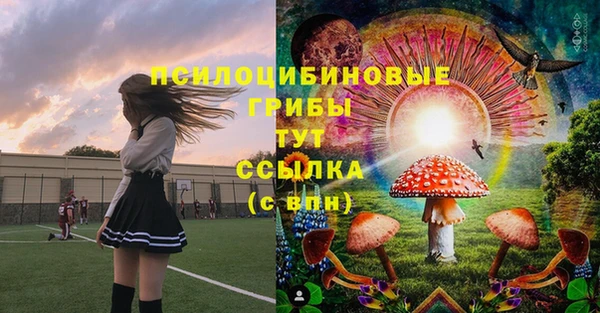 прущие грибы Абаза